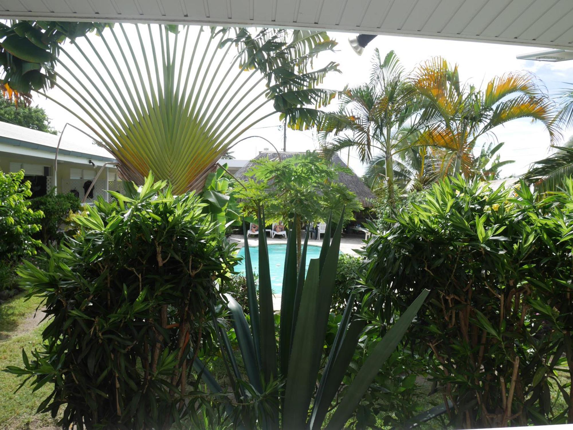 เพนชั่น เดอ ลา ปลาฌ Villa Punaauia  ห้อง รูปภาพ